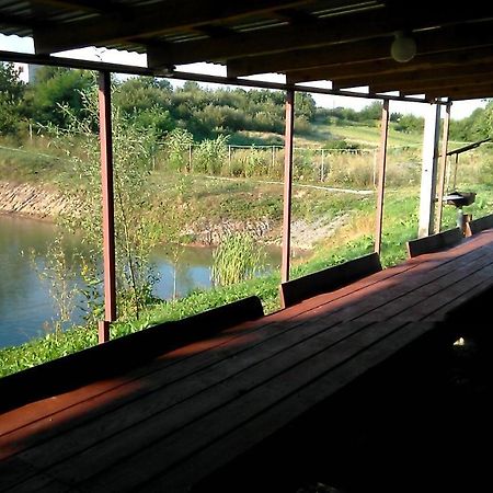 Barbecue House Villa Vinnytsia Luaran gambar