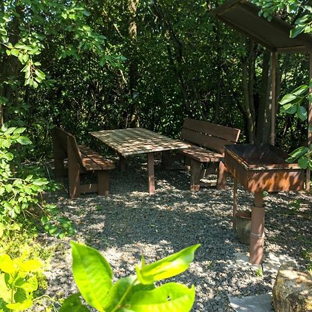 Barbecue House Villa Vinnytsia Luaran gambar