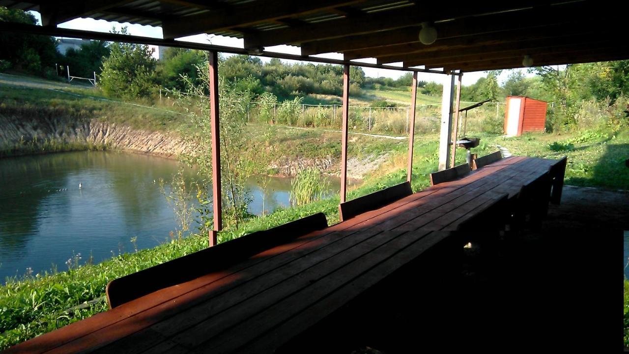 Barbecue House Villa Vinnytsia Luaran gambar