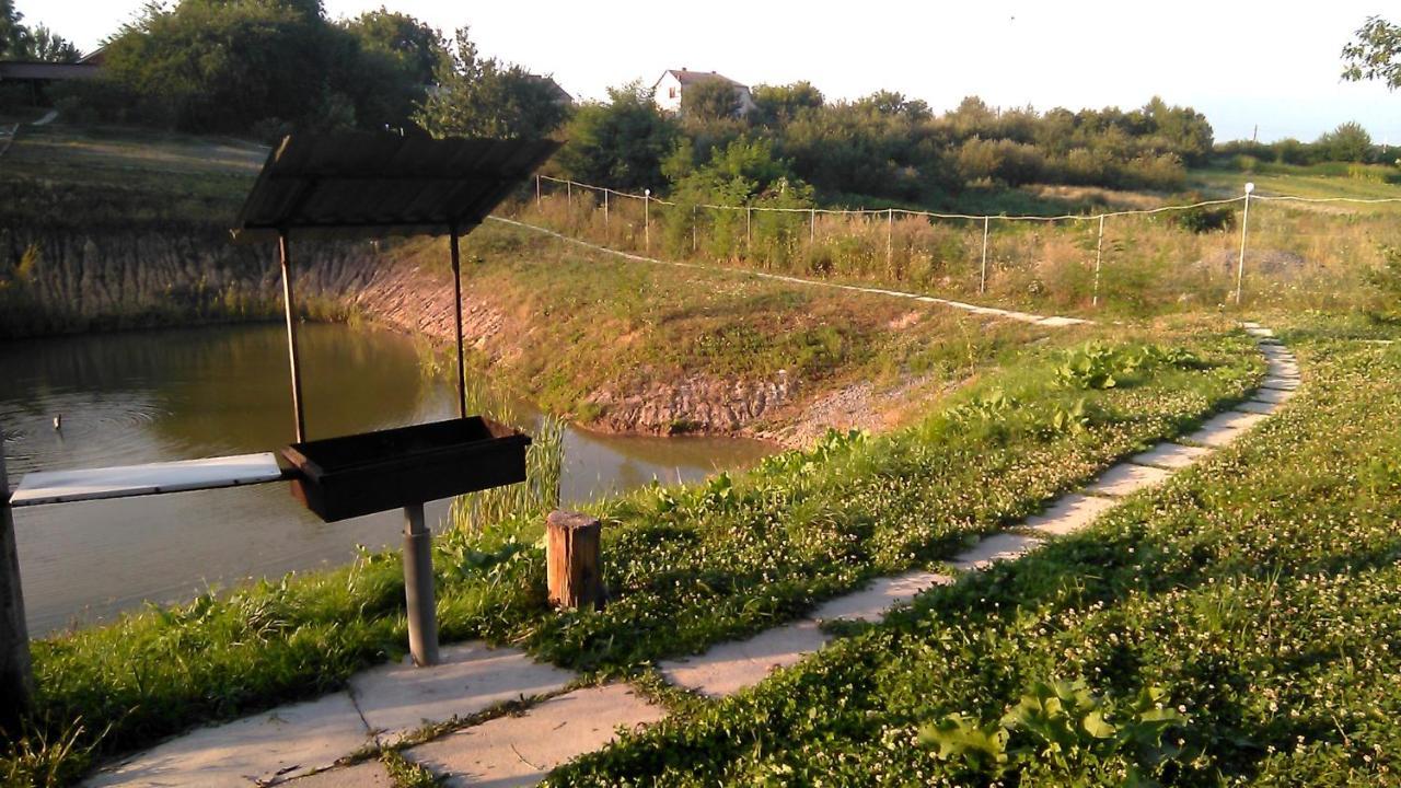 Barbecue House Villa Vinnytsia Luaran gambar