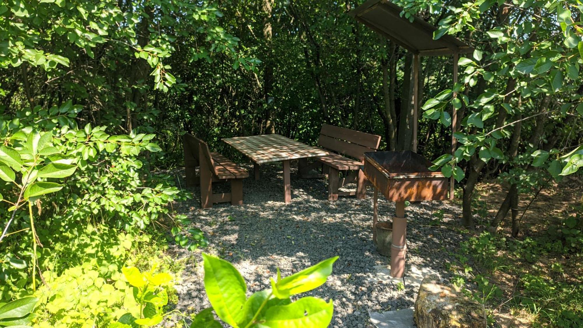 Barbecue House Villa Vinnytsia Luaran gambar